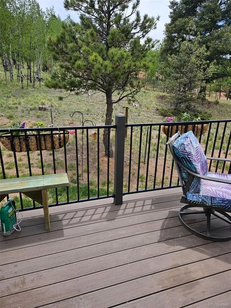 24 Big Horn Circle Florissant CO 80816