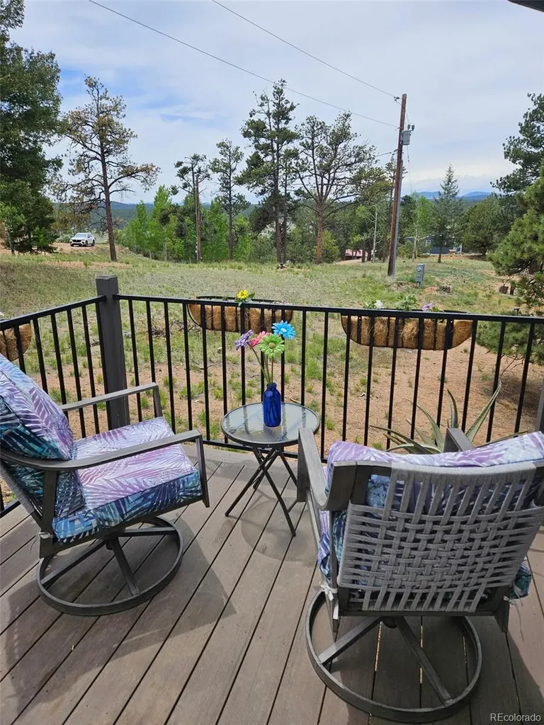 24 Big Horn Circle Florissant CO 80816