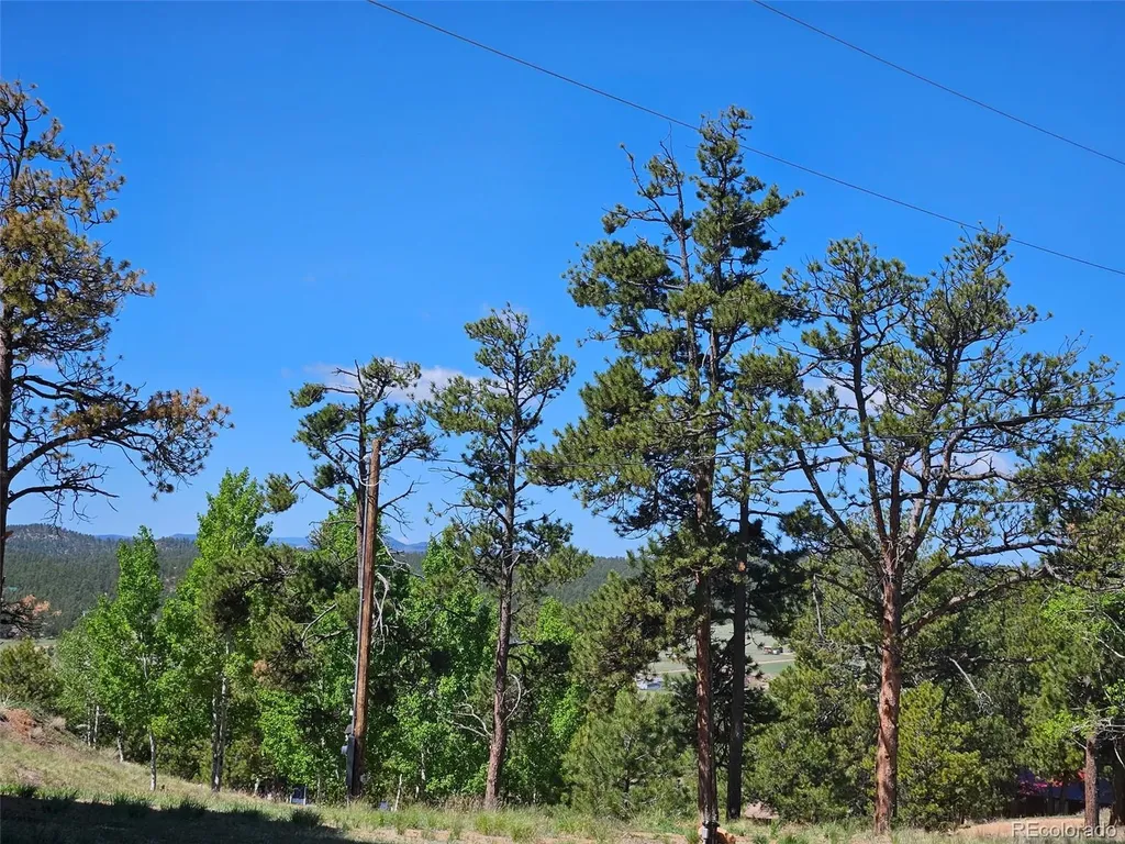 24 Big Horn Circle Florissant CO 80816