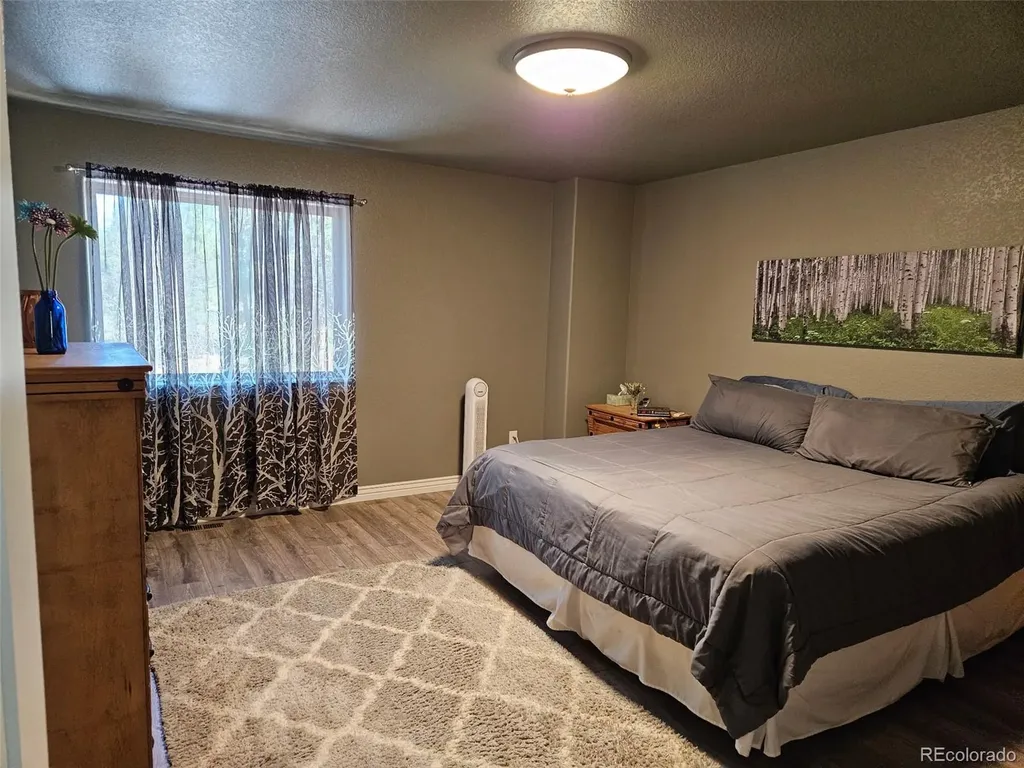 24 Big Horn Circle Florissant CO 80816