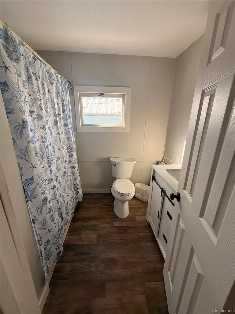 305 Chestnut Street Leadville CO 80461