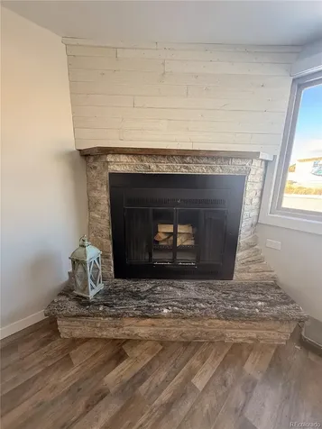 305 Chestnut Street Leadville CO 80461