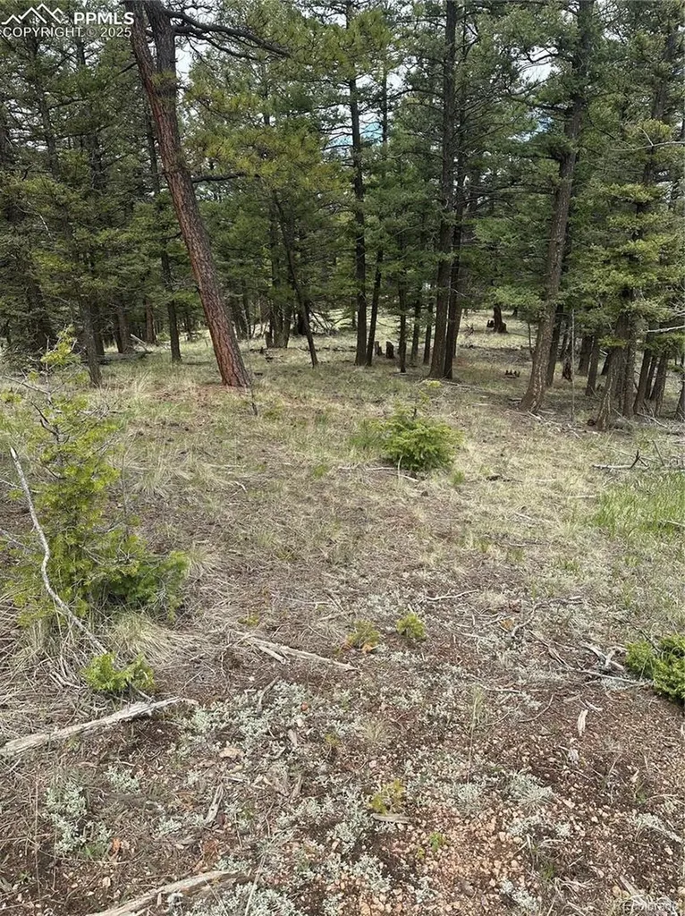1120/1086 N Mountain Estates Road Florissant CO 80816