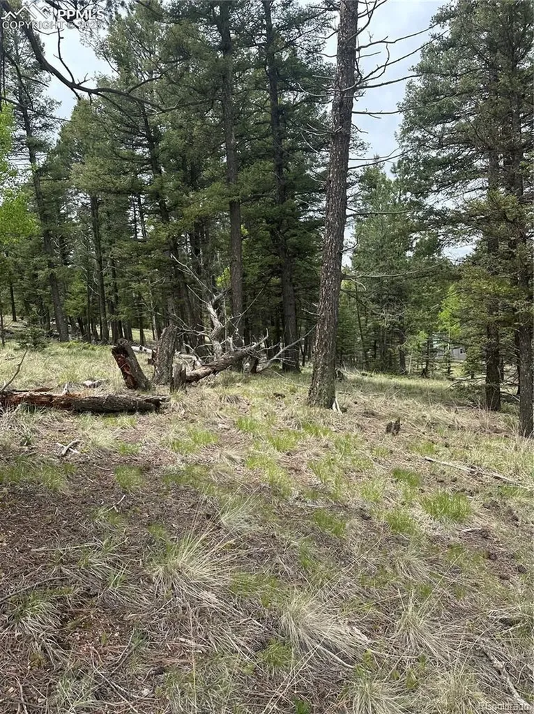 1120/1086 N Mountain Estates Road Florissant CO 80816