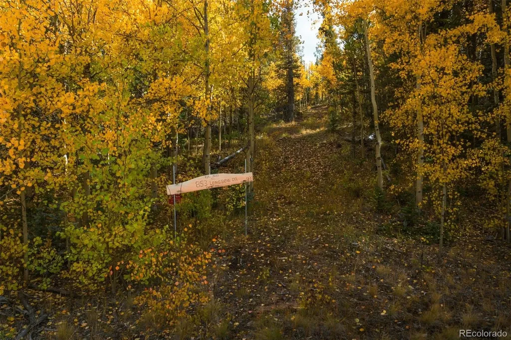 853 W Longbow Drive Como CO 80432