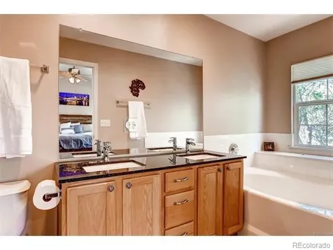 1379 Carlyle Park Circle Highlands Ranch CO 80129