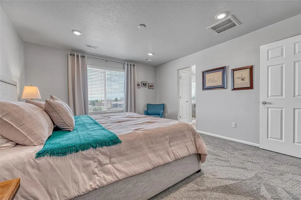 604 Silver Rock Trail Castle Rock CO 80104