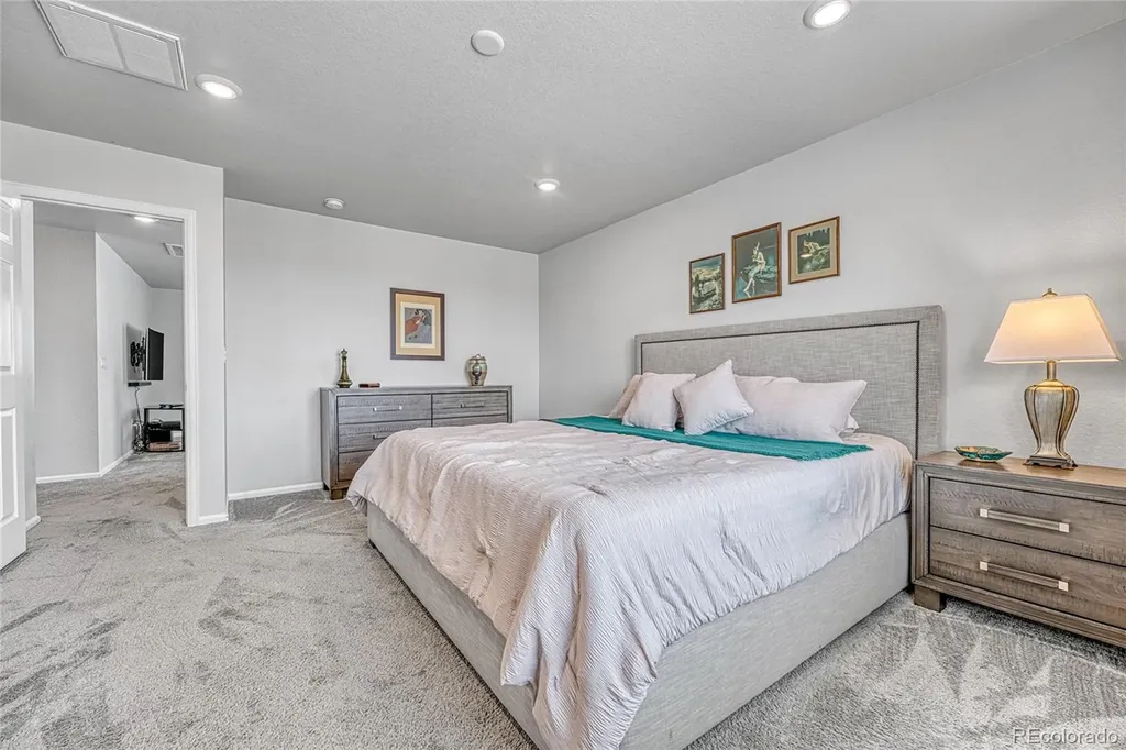 604 Silver Rock Trail Castle Rock CO 80104