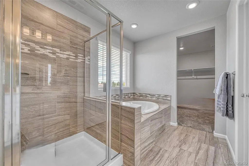 604 Silver Rock Trail Castle Rock CO 80104
