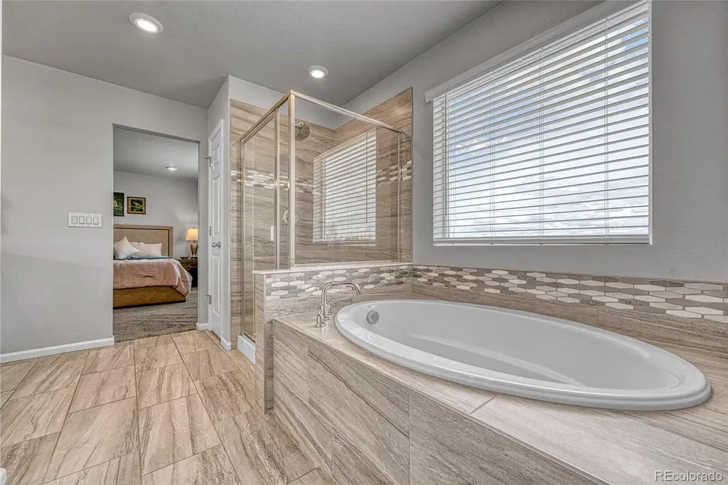 604 Silver Rock Trail Castle Rock CO 80104