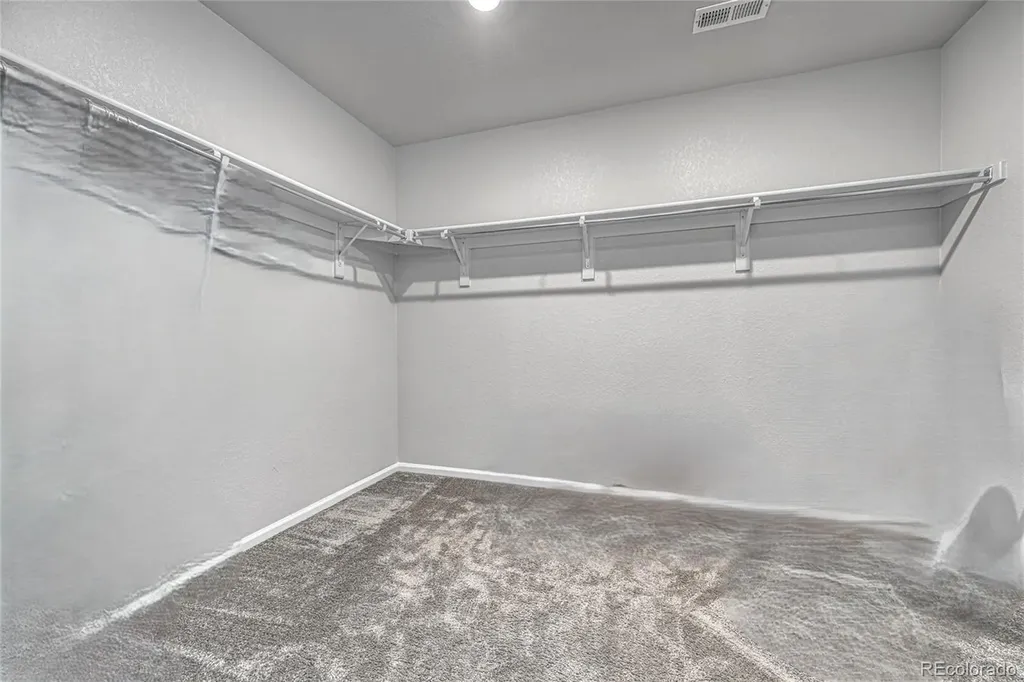 604 Silver Rock Trail Castle Rock CO 80104