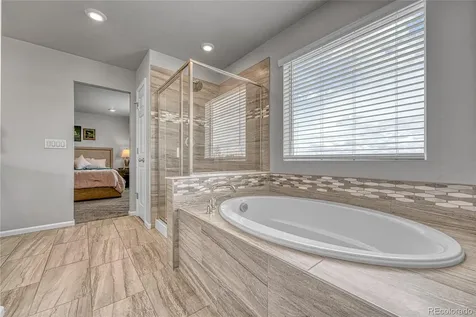 604 Silver Rock Trail Castle Rock CO 80104