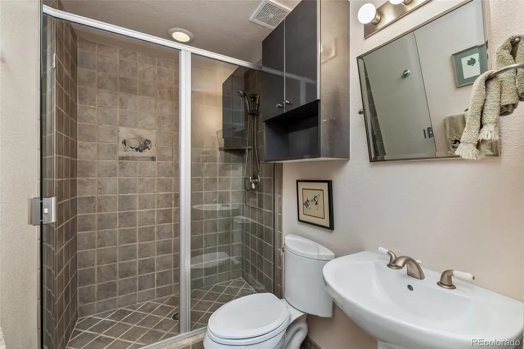 1744 Falcon Drive Silverthorne CO 80498