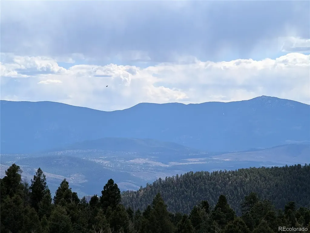 13108 Elsie Road Conifer CO 80433