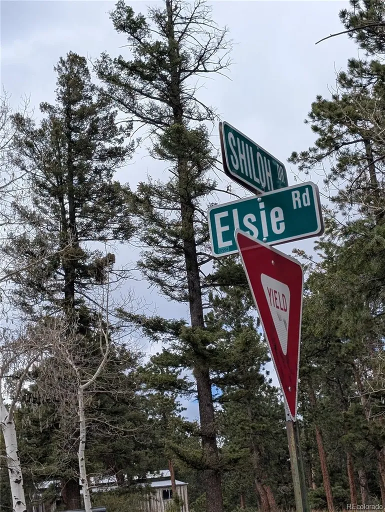 13108 Elsie Road Conifer CO 80433
