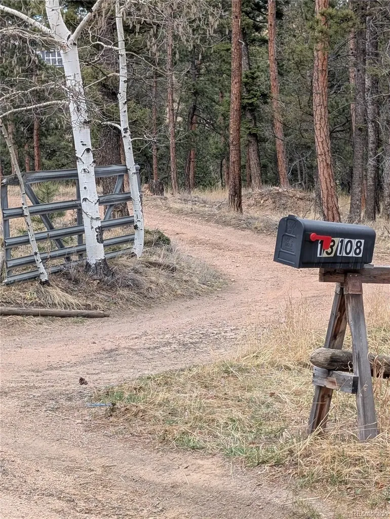 13108 Elsie Road Conifer CO 80433