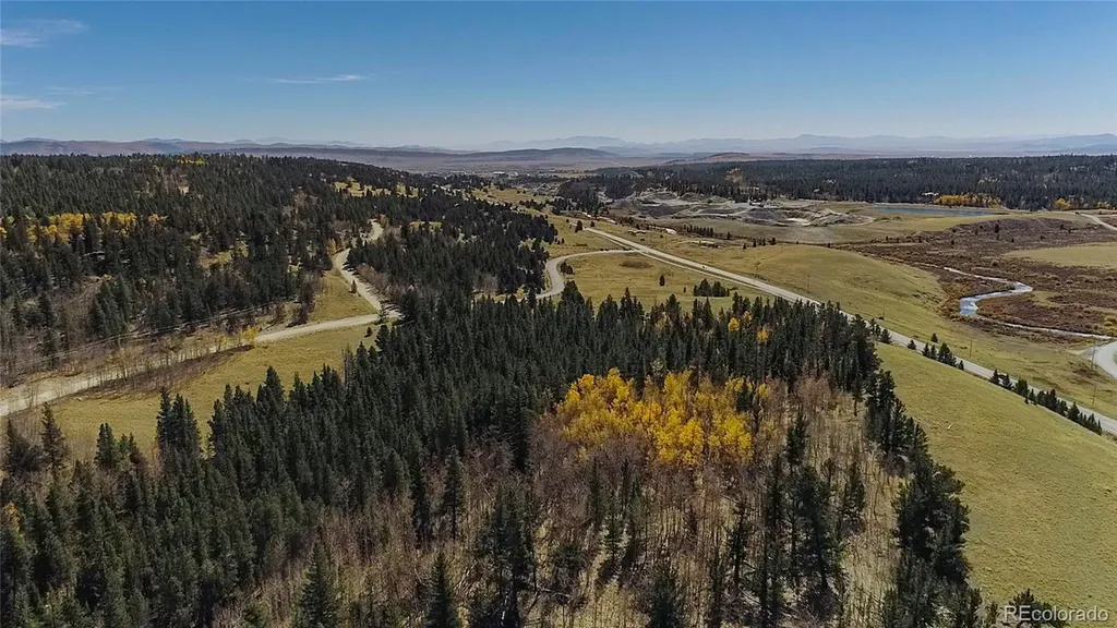 459 Platte River Drive Fairplay CO 80440