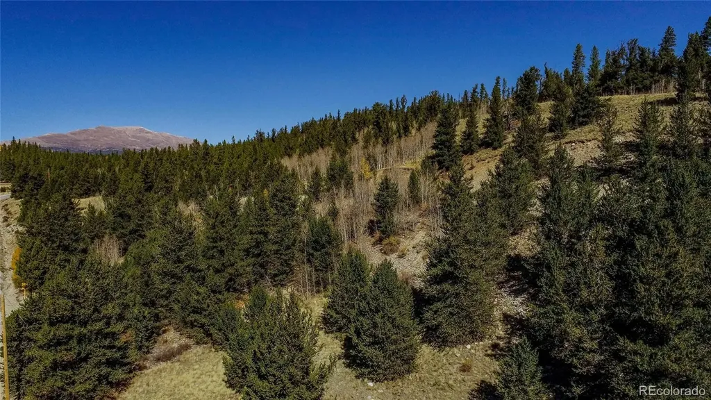 459 Platte River Drive Fairplay CO 80440