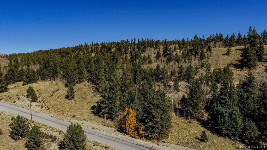 459 Platte River Drive Fairplay CO 80440