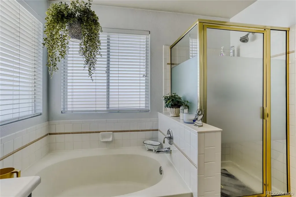 5205 S Meadow Lark Drive Castle Rock CO 80109