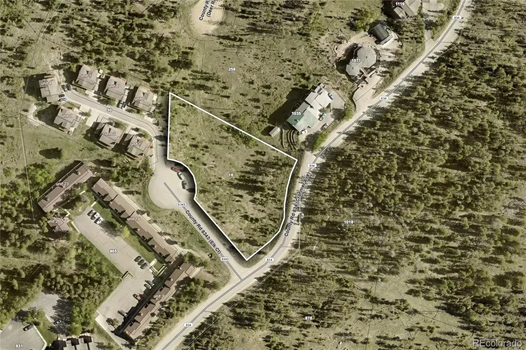 16 County Rd 8343/elk Court Fraser CO 80442