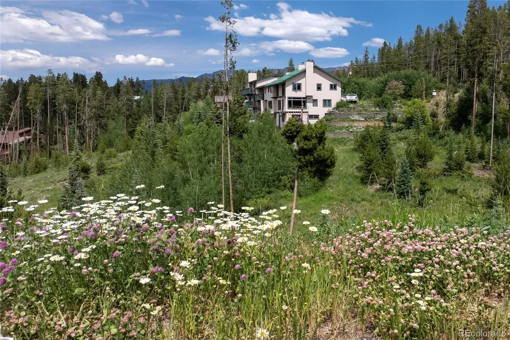 16 County Rd 8343/elk Court Fraser CO 80442