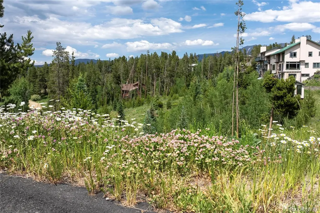 16 County Rd 8343/elk Court Fraser CO 80442