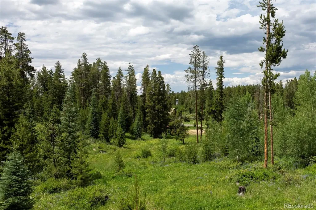 16 County Rd 8343/elk Court Fraser CO 80442