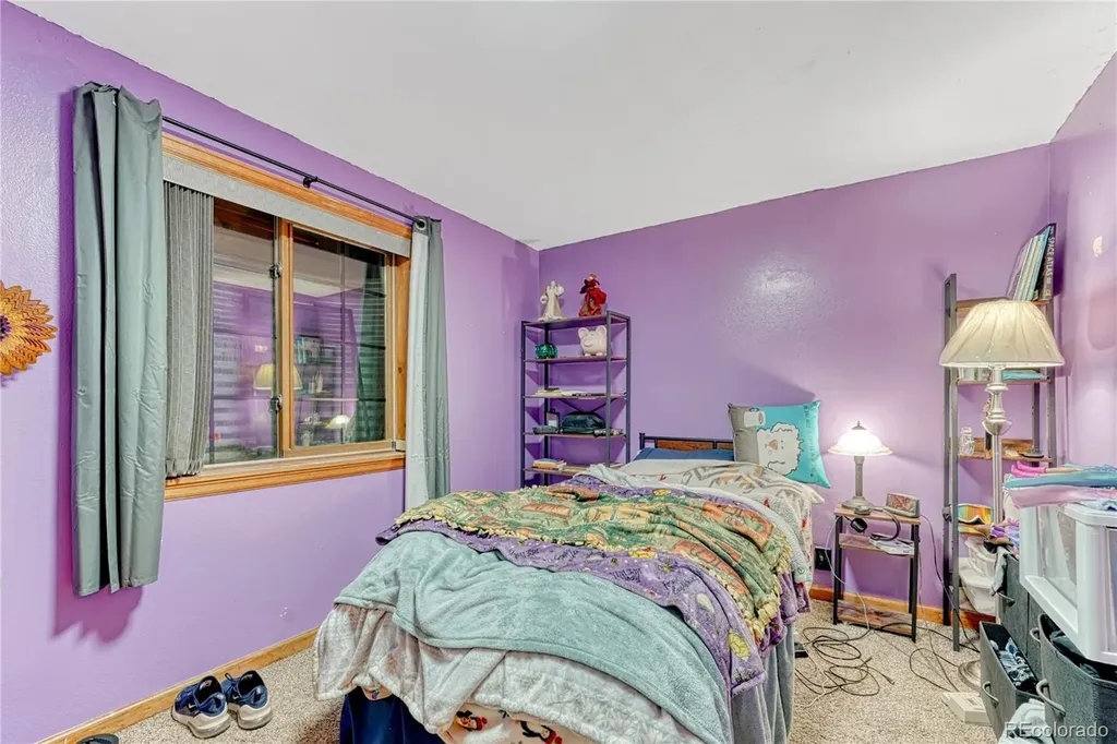 153 Nebraska Drive Idaho Springs CO 80452