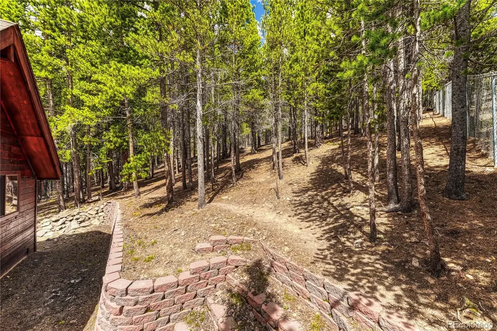 153 Nebraska Drive Idaho Springs CO 80452