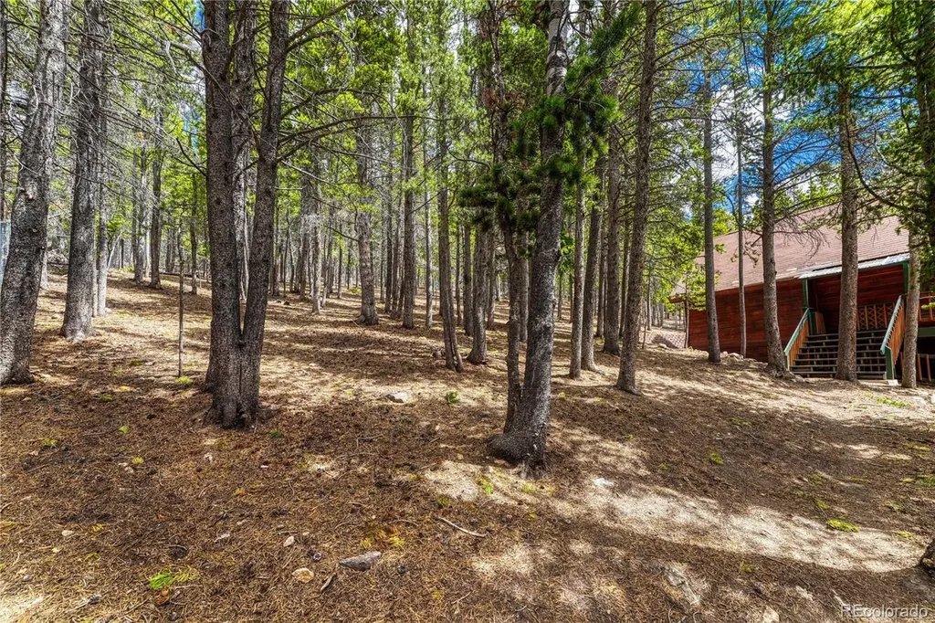 153 Nebraska Drive Idaho Springs CO 80452