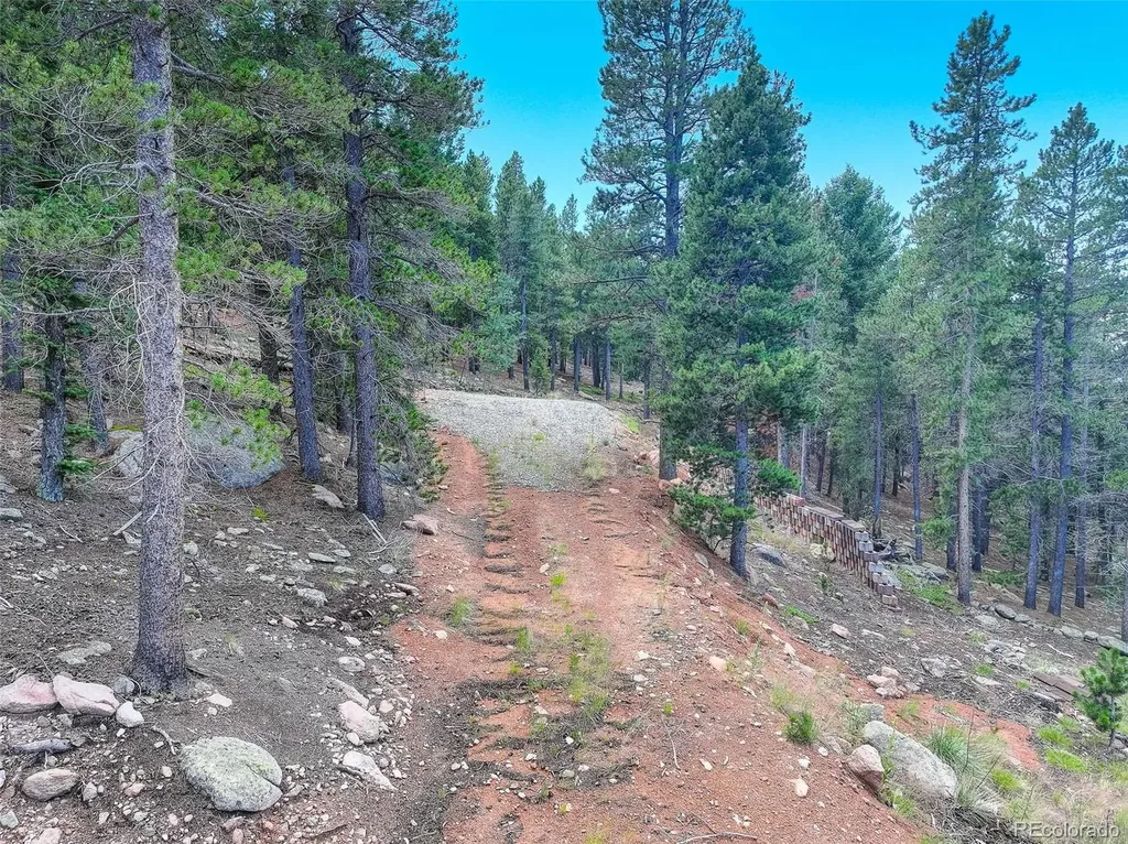 11275 Bear Run Trail Conifer CO 80433