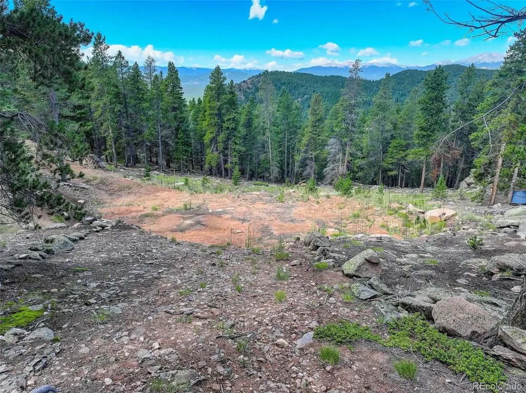 11275 Bear Run Trail Conifer CO 80433