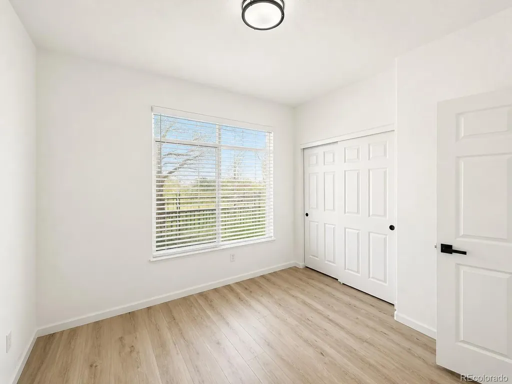 494 Black Feather Loop Castle Rock CO 80104
