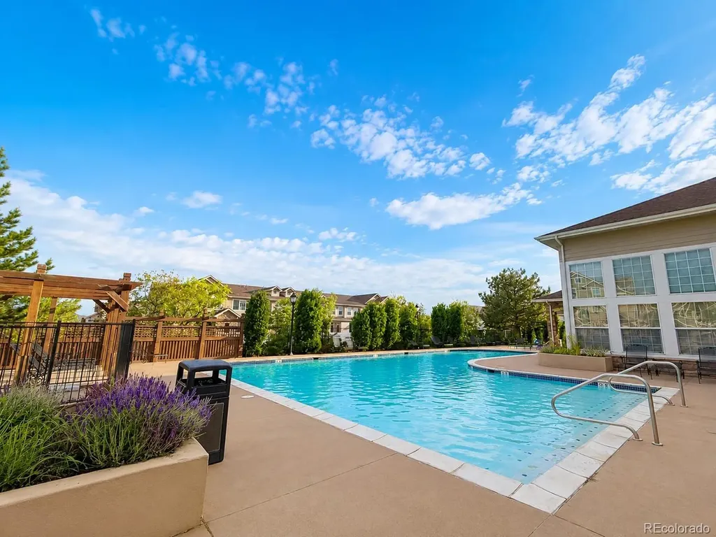 494 Black Feather Loop Castle Rock CO 80104