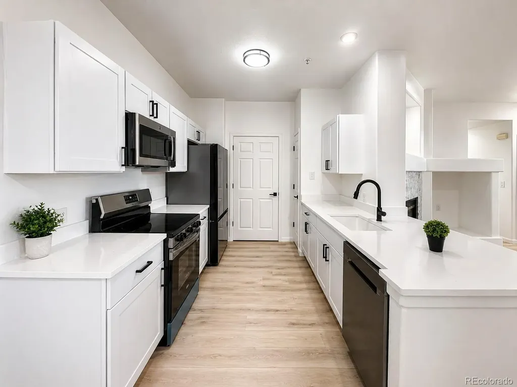 494 Black Feather Loop Castle Rock CO 80104