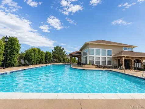 494 Black Feather Loop Castle Rock CO 80104
