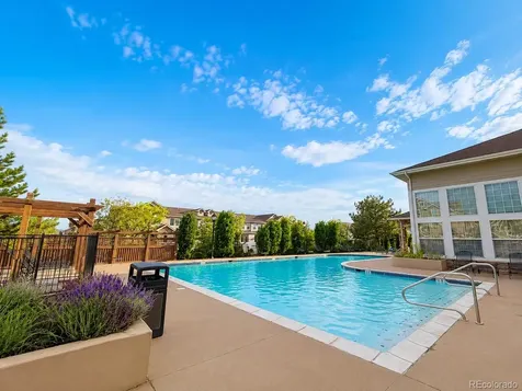 494 Black Feather Loop Castle Rock CO 80104
