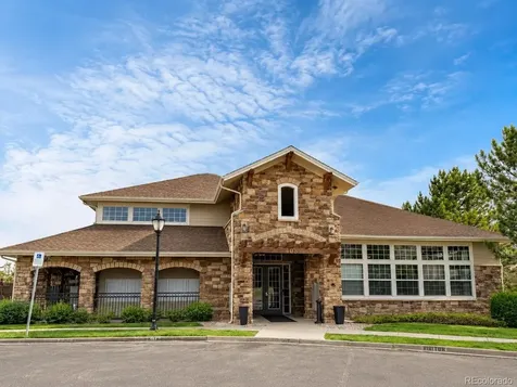 494 Black Feather Loop Castle Rock CO 80104