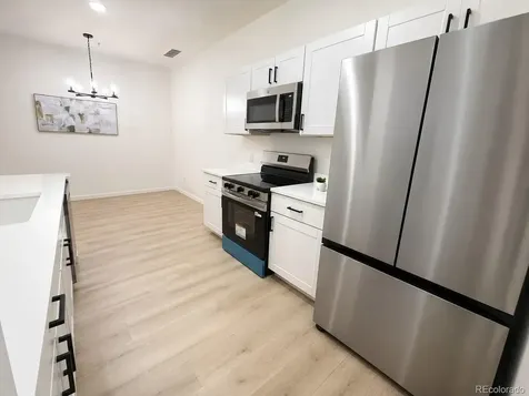 494 Black Feather Loop Castle Rock CO 80104