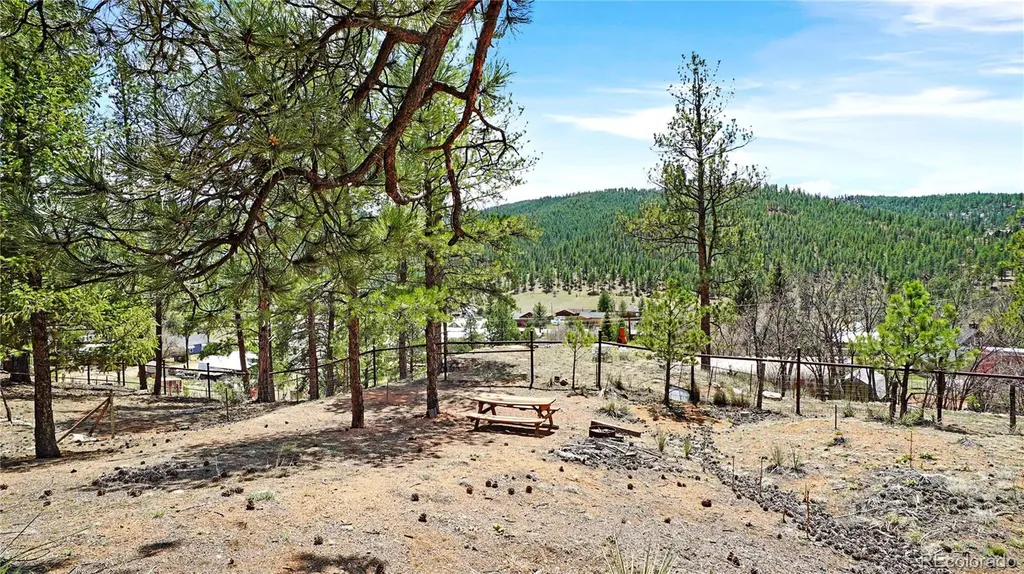28368 Cedar Avenue Pine CO 80470