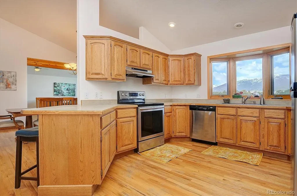 33001 County Road 371 Buena Vista CO 81211