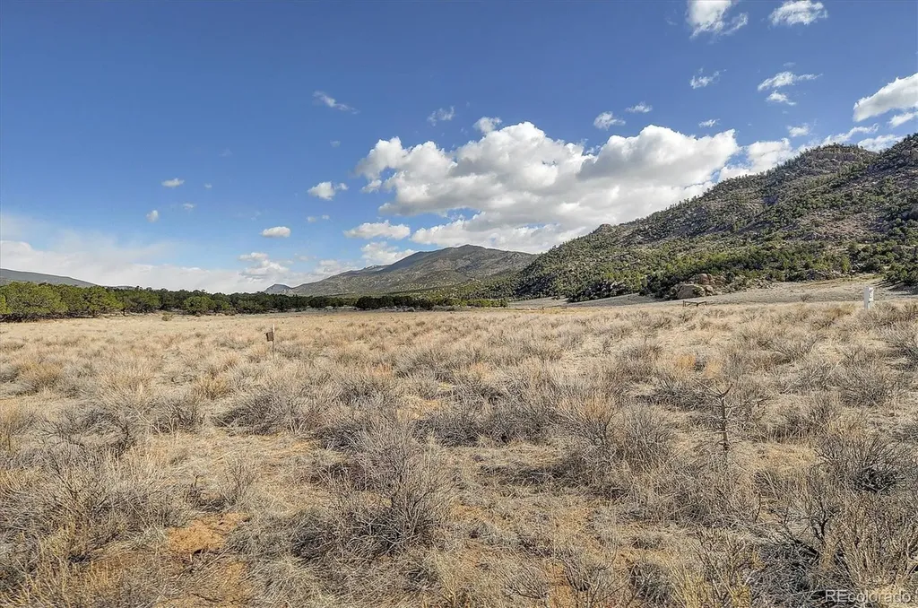 33001 County Road 371 Buena Vista CO 81211