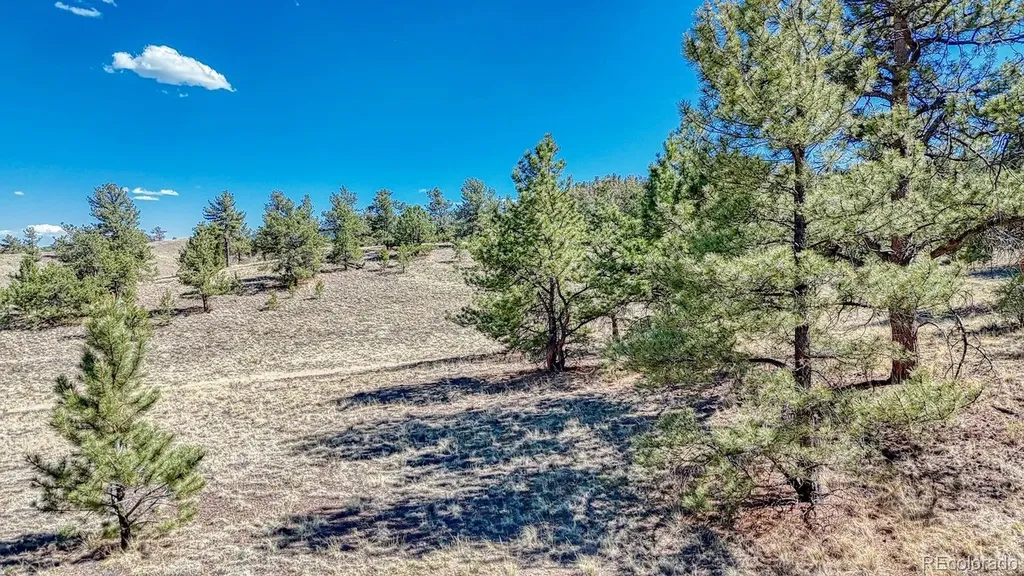 Lot 11 Highway 9 Hartsel CO 80449