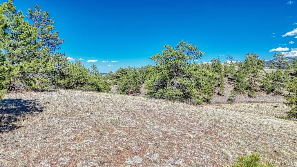 Lot 11 Highway 9 Hartsel CO 80449