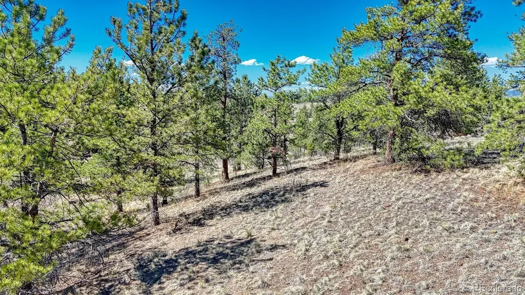Lot 11 Highway 9 Hartsel CO 80449