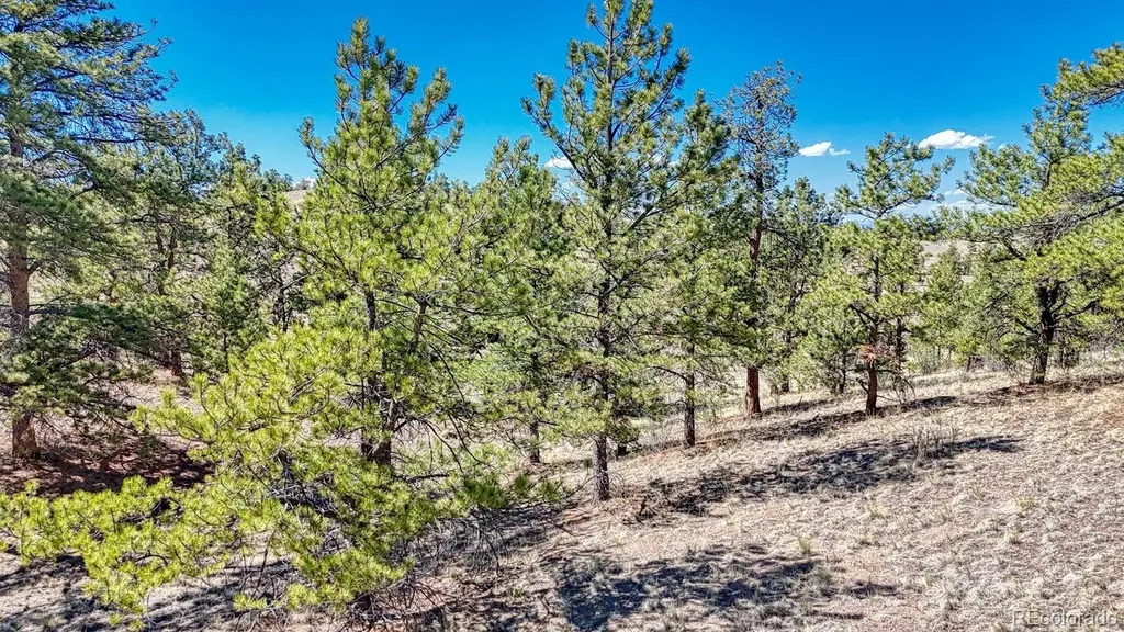 Lot 11 Highway 9 Hartsel CO 80449