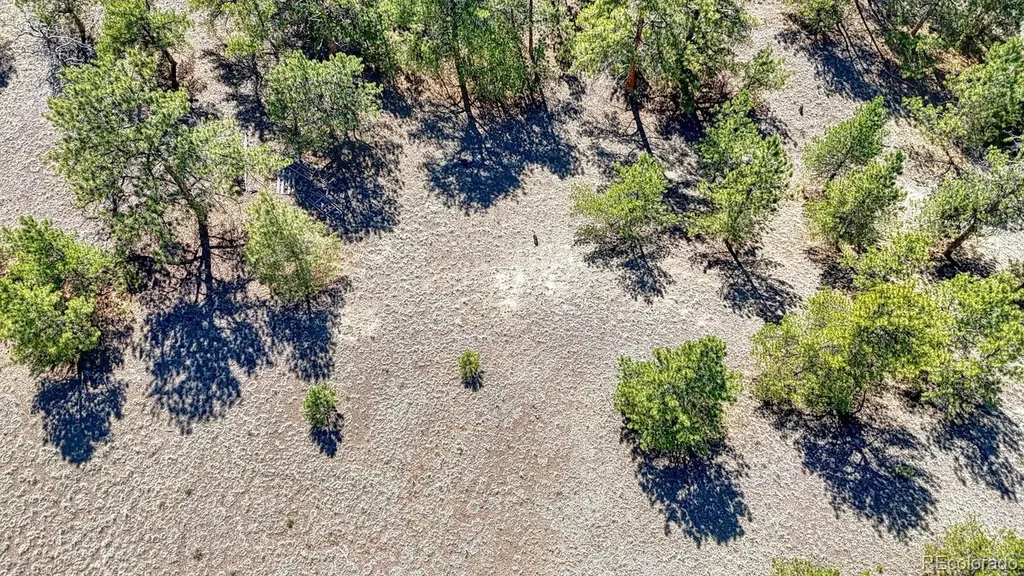 Lot 11 Highway 9 Hartsel CO 80449