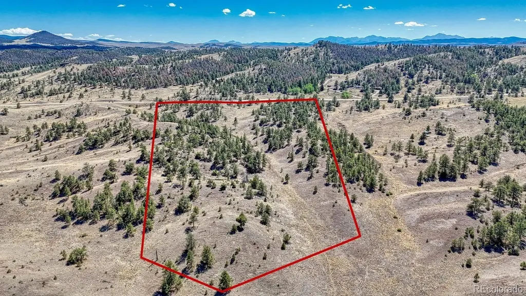 Lot 11 Highway 9 Hartsel CO 80449