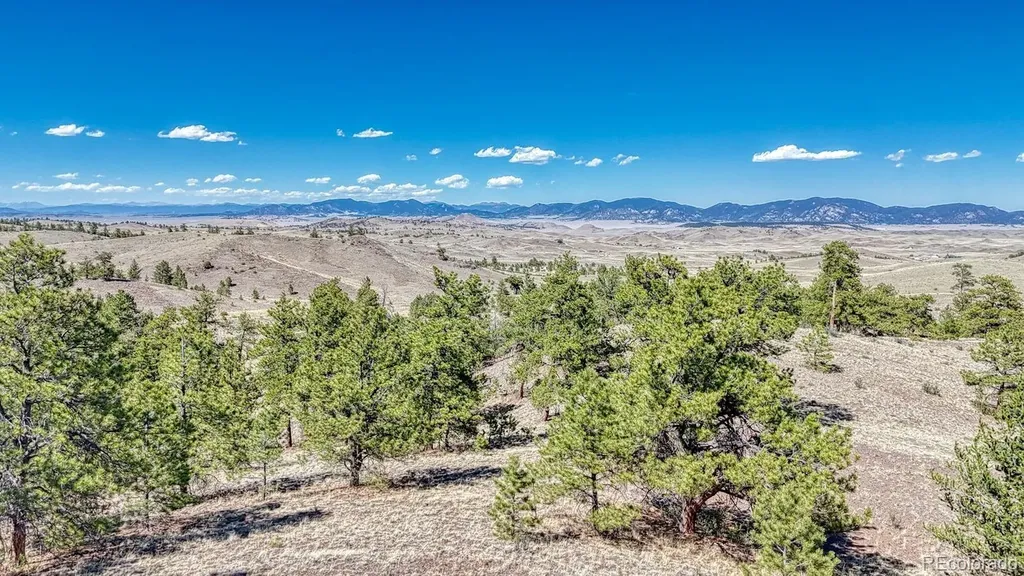 Lot 11 Highway 9 Hartsel CO 80449